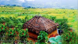 Munnar kerala tourism video  aerial view [upl. by Iives]