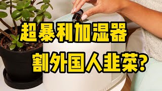 超暴利加湿器，靠什么割外国人韭菜？ [upl. by Bertine]