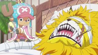 One piece Chopper shot Nekomamushi Englishsub [upl. by Sibilla393]