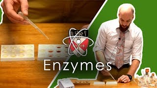 Enzymes  GCSE Science Required Practical [upl. by Ahsote]