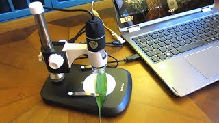 Koolertron USB Digital Microscope  How to Use Microscope [upl. by Munniks]