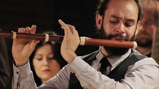 CPE Bach Flute Concerto in A minor Wq166 H431 – Bremer Barockorchester [upl. by Ahsha]