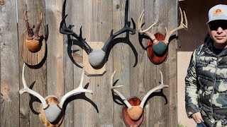 THE FAST EASY AND CHEAP WAY TO MOUNT ANTLERS [upl. by Ray544]