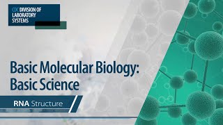 Basic Molecular Biology Basic Science – RNA Structure [upl. by Hibbs]