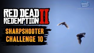 Red Dead Redemption 2 Sharpshooter Challenge 10 Guide  Kill 3 birds with 3 long scoped rifle shots [upl. by Otsedom]