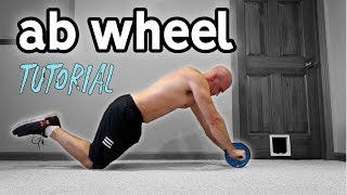 Ab Wheel For Beginners  Rollout Progression and Extra Exercises [upl. by Shannen595]