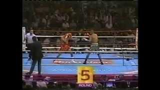 Roy Jones Jr vs Vinny Pazienza 2461995  IBF World Super Middleweight Championship [upl. by Ellak]