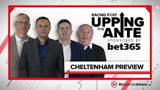 Upping The Ante  Cheltenham Preview Show 2022 [upl. by Ydissahc]