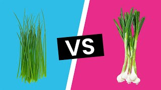 Chives vs Scallions  Whats the Difference [upl. by Leind]