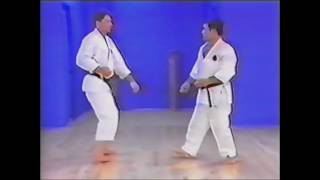 Goju ryu kata Seiyunchin bunkai [upl. by Goodkin887]