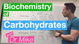 Carbohydrates  Biochemistry [upl. by Rexfourd121]