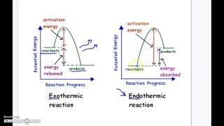 Endothermic Vs Exothermic Reaction Graphs [upl. by Calida158]