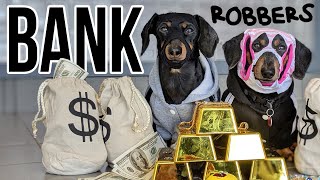 Ep 8 Crusoe amp Oakley ROB A BANK  a Wiener Dog Bank Heist [upl. by Bohun]