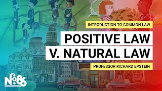 Positive Law v Natural Law Introduction to Common Law [upl. by Wilinski]