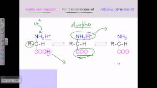 Amino acid structures part 2 [upl. by Fleurette]