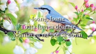 Mirabela Dauer  Ioane Ioane lyrics versuri karaoke [upl. by Etteuqal100]