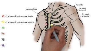 Como hacer un ECG electrocardiograma [upl. by Lachance]