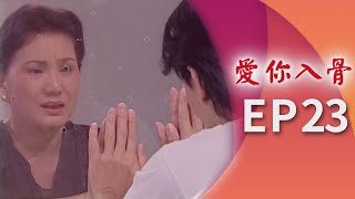 愛你入骨 EP23 [upl. by Annelg401]