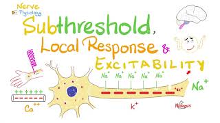 Subthreshold Stimulus Local Response Catelectrotonus Anelectrotonus  Nerve Physiology [upl. by Alicia]