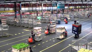 Topdrukte FloraHolland Aalsmeer  Rush hour Flower auction [upl. by Okin]