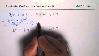 How to Evaluate Algebraic Expressions with Fractions [upl. by Flannery]