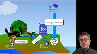 Biogeochemical Cycles [upl. by Wier119]