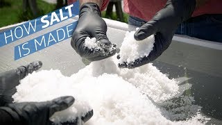 Where Does Salt Come From — How to Make It [upl. by Ahsatan353]