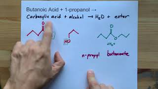 Butanoic Acid  Propanol  ESTER  water [upl. by Pearla]