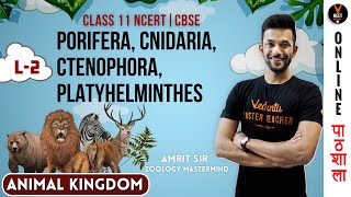 Porifera Platyhelminthes Animal KingdomCBSE Class 11 Biology Chapter 4NCERT BiologyNEET Biology [upl. by Yerrok]