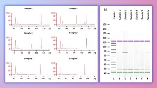 Forensic DNA Profiling Part I [upl. by Ger]