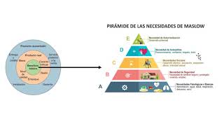 Características y Atributos de los Productos [upl. by Asatan]