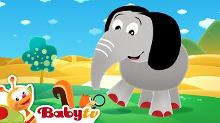 Baby Hood  BabyTV [upl. by Fai]