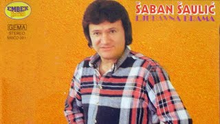 Saban Saulic  U nadanju zivi se i mre  Audio 1994 [upl. by Ramoj684]