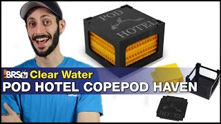 Do your copepods need a home Give them a Hotel Clear Water Pod Hotel Copepod Haven [upl. by Wertz665]