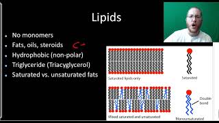 AP Bio Macromolecules  Part 1 [upl. by Hertzog770]