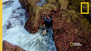 Harvesting Barnacles in Portugal  Gordon Ramsay Uncharted [upl. by Nedroj]