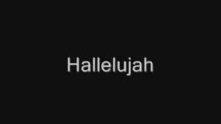 John Cale  Hallelujah Lyrics best version [upl. by Amieva]