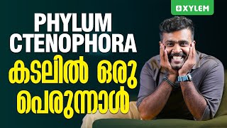 Phylum Ctenophora  കടലിൽ ഒരു പെരുന്നാൾ  Class 11 CBSE [upl. by Birdt162]