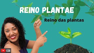 Aula Reino das Plantas Plantae [upl. by Ramu]