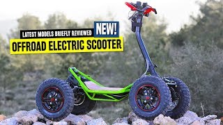 Top 8 Electric Scooters Ranked by Pricing and OffRoad Capabilities in 2020 [upl. by Onitselec]