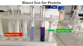 Biuret Test [upl. by Emeline]