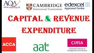 Capital and Revenue Expenditure [upl. by Vinny]