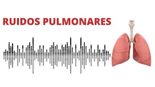 AUSCULTACIÓN PULMONAR ruidos normales y anormales [upl. by Otrebide]