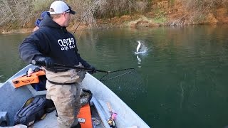 Twitching jigs for Humptulips River Coho Salmon [upl. by Bluefield969]