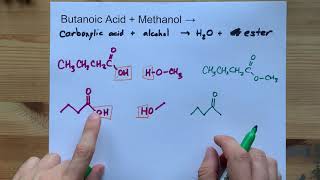 Butanoic Acid  Methanol  ESTER  water [upl. by Panter]