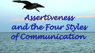 Assertiveness and the Four Communication Styles [upl. by Fotina]