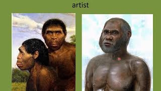 Homo erectus online [upl. by Molly]