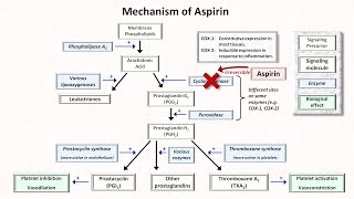 Hemostasis Lesson 5  Antiplatelet Meds Part 1 of 2 [upl. by Lovato]