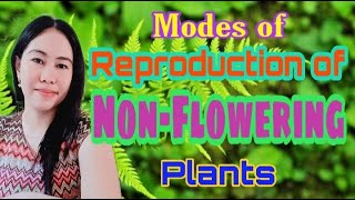 Modes of Reproduction of Non Flowering Plants [upl. by Ellingston]