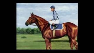 SECRETARIAT CABALLOS PARA LA HISTORIA [upl. by Benton]